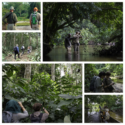 voyage safari congo