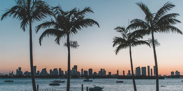 Que faire à Miami - des activités pour découvrir Miami