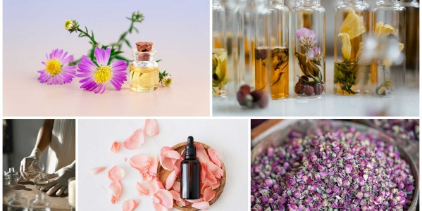 Les matières premières utilisées dans la création de parfum