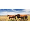 Séjour au Ranch luxe de Paws Up Montana - USA