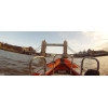 Croisière Speed Boat sur la Tamise à Londres