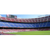 Visite guidée de Camp Nou + Musée du FC Barça