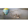 Vol en montgolfière dans le Cantal