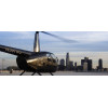 Vol privé en hélicoptère avec atterrissage en hauteur à Los Angeles, Californie