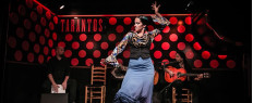 Tour gastronomique et spectacle flamenco à Barcelone, Espagne