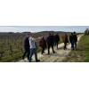 Dégustation de vins et visite guidée de vignes à Angers, Maine et Loire