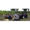 Dégustation de vins et visite guidée de vignes à Angers, Maine et Loire