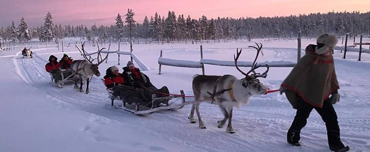 Balade en traineau à renne en Laponie, Finlande