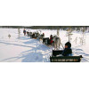 Balade en traineau à renne en Laponie, Finlande