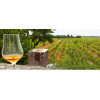 Atelier de dégustation de Cognac en Charente