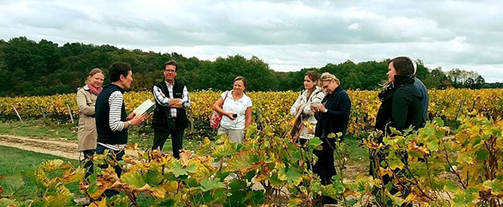Dégustation de vins et visite de vignoble proche Tours