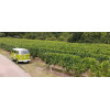 Visite des vignobles d'Alsace en Combi