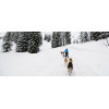 Randonnée en chiens de traîneaux Avoriaz Haute-Savoie