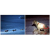 Randonnée chiens de traîneaux Andorre Pyrénées