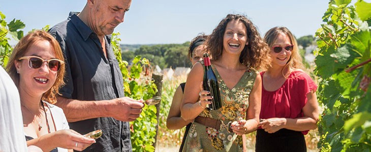 Dégustation de vins et visite guidée de vignes à Saumur, Maine et Loire