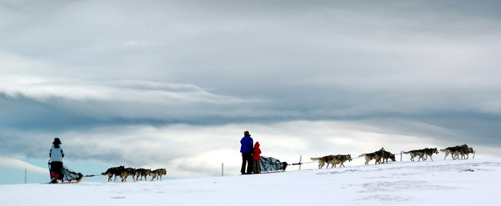 Randonnée d'une journée en chiens de traineaux en Savoie