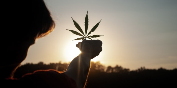 Le cannabis pour relancer le tourisme en Californie ?